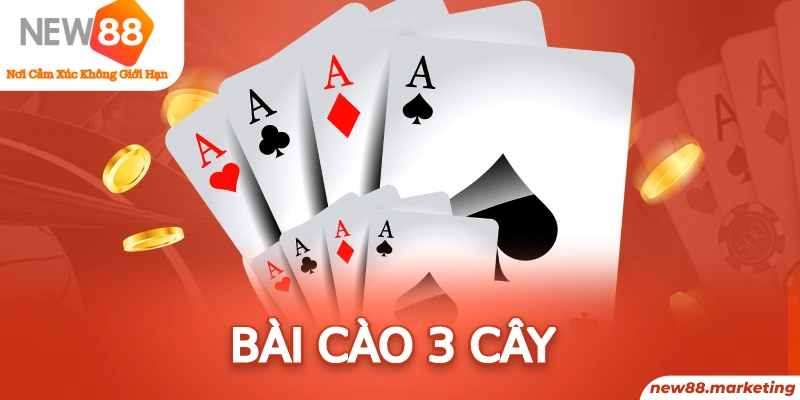 333win com baccarat là cái gì