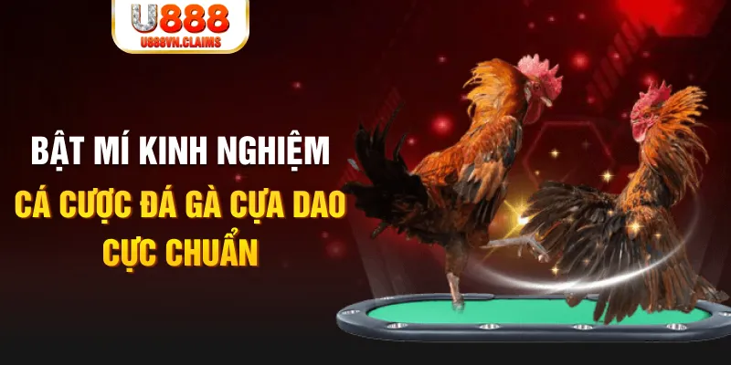 333win com trong baccarat, ai là người chia bài chính？