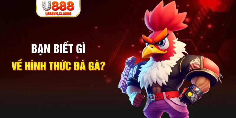 333win com dự đoán xổ số miền trung