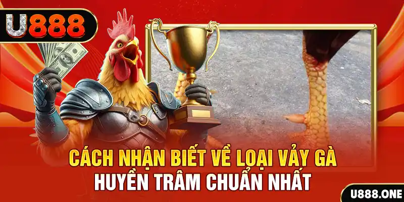 333win com Chú hề Patty tuổi teen