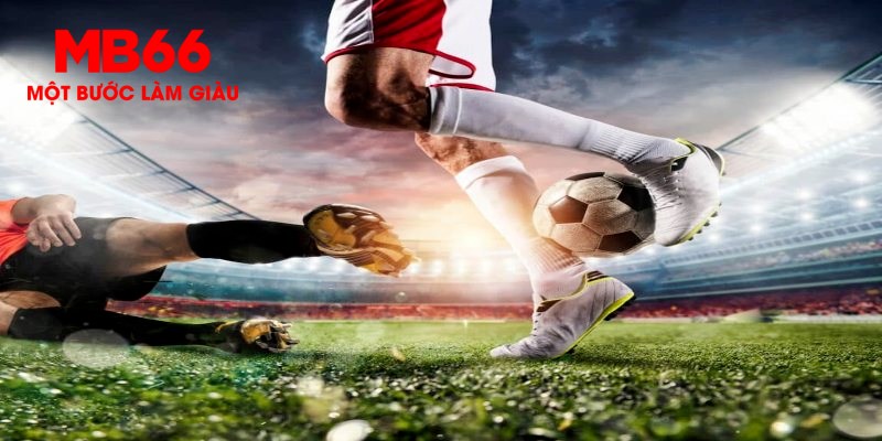 333win com what are slot machines