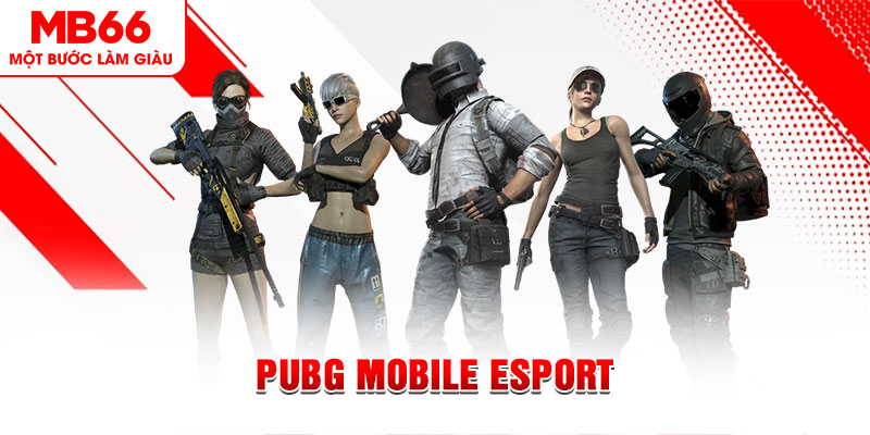 333win com gà chọi c1 mới nhất