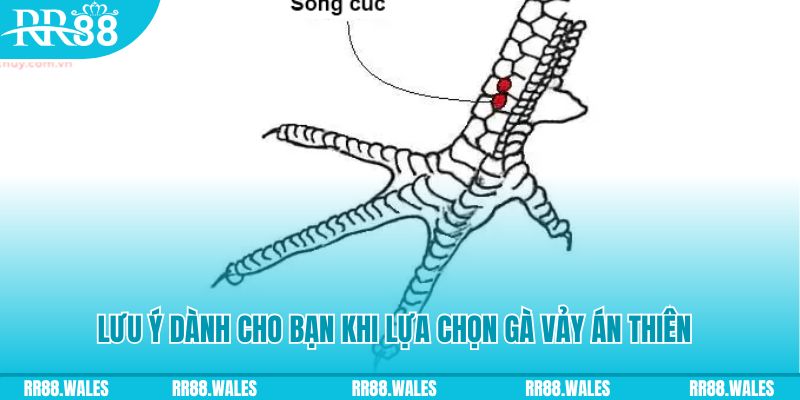 333win com how to play roulette at casino