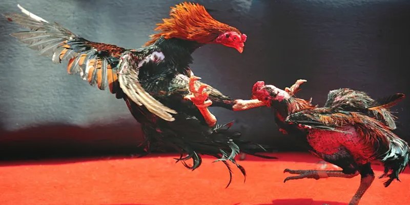 333win com đăng nhập nổ hũ số 1