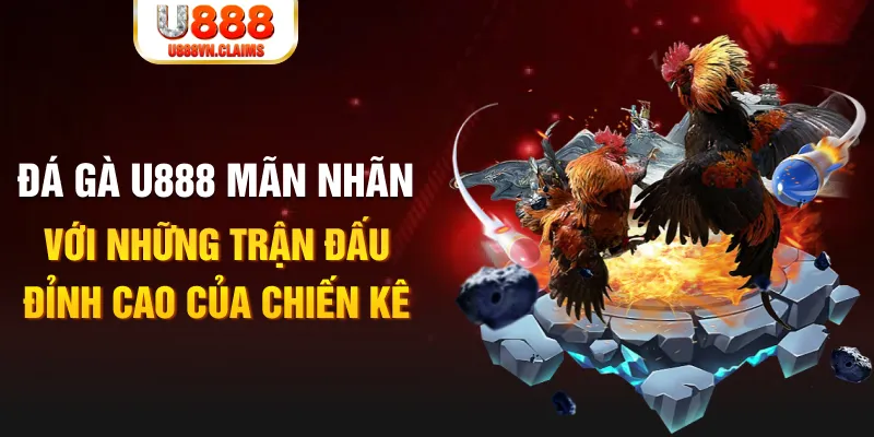 333win com kết quả xổ số miền bắc ngày hôm nay
