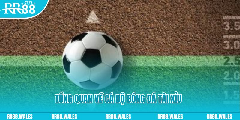 333win com JDB Điện Tử