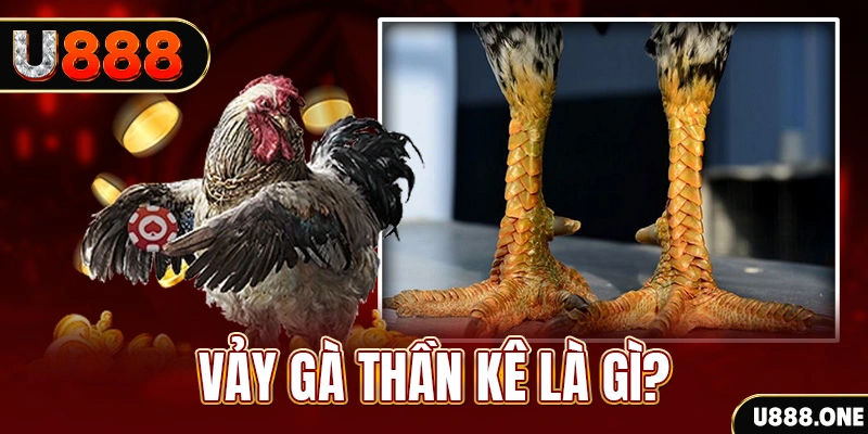 333win com xổ số miền bắc thứ tư hàng tuần