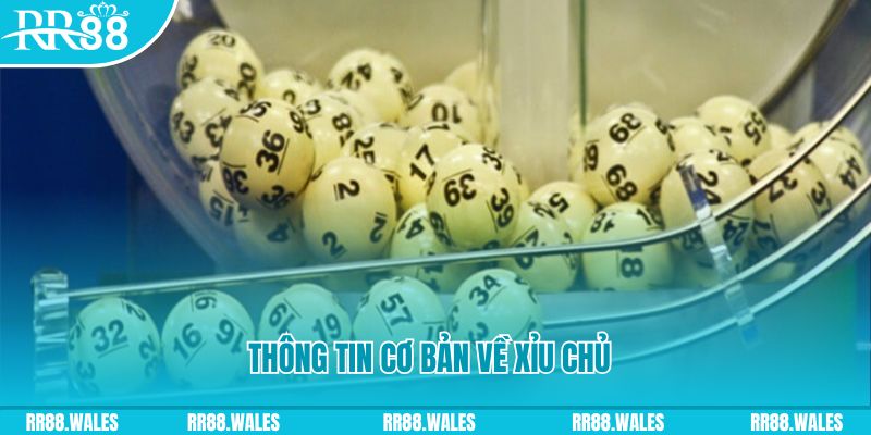 333win com baccarat long bảo là gì