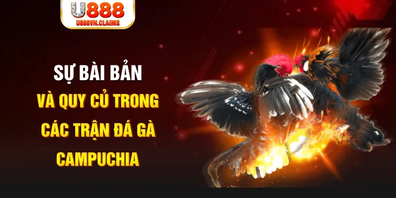333win com baccarat lừa đảo như thế nào