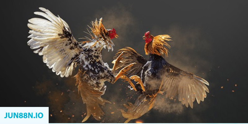 333win com đăng nhập sòng bạc miễn phí