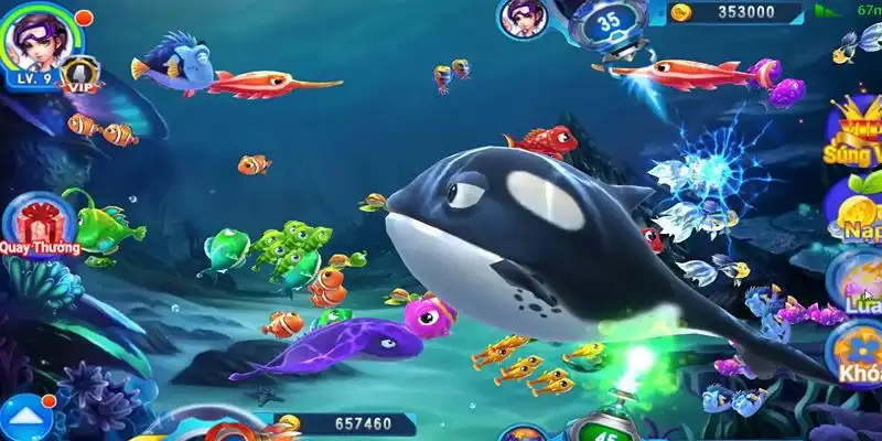 333win com truc tiep da ga