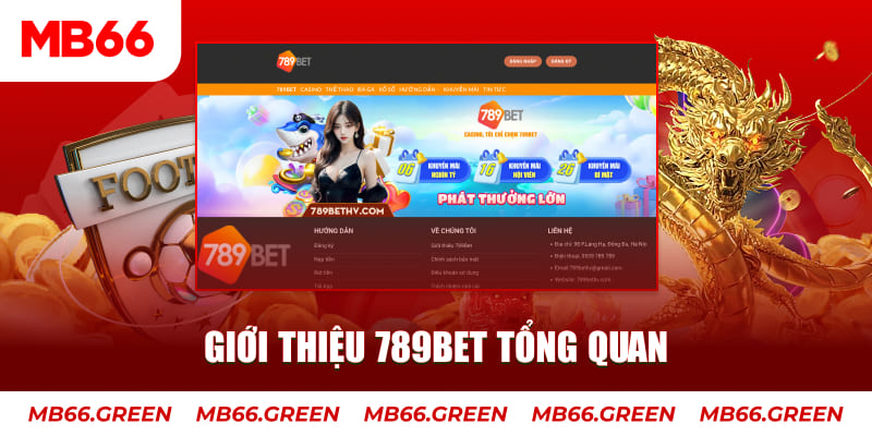 333win com đăng nhập mậu binh trực tiếp