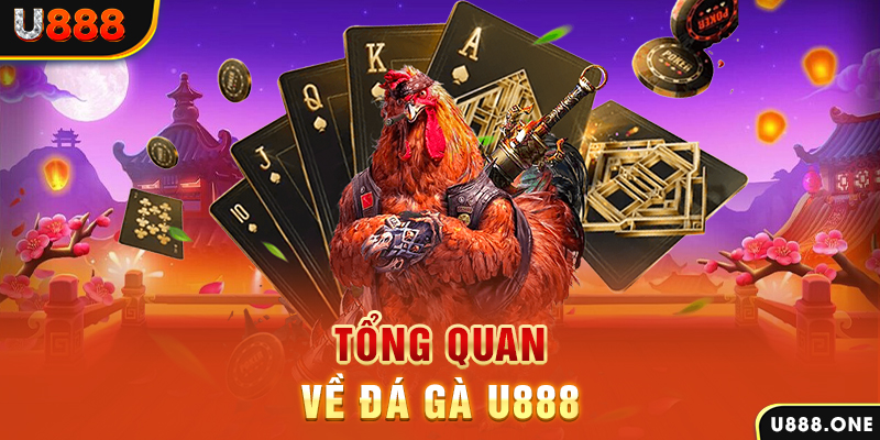 333win com baccarat có lừa đảo không